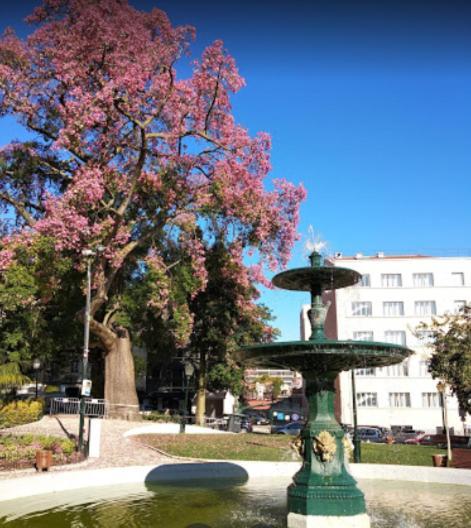 Appartamento Alegramente Lisbona Esterno foto