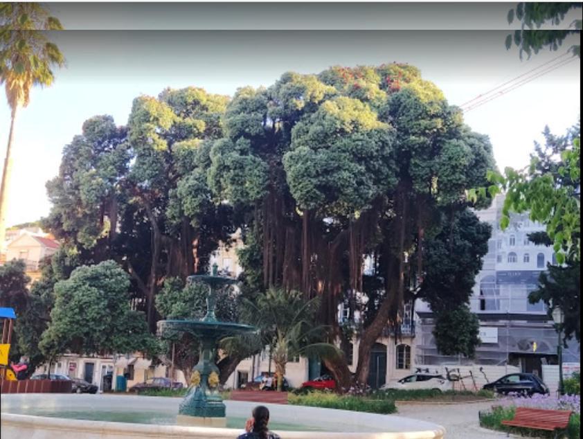 Appartamento Alegramente Lisbona Esterno foto